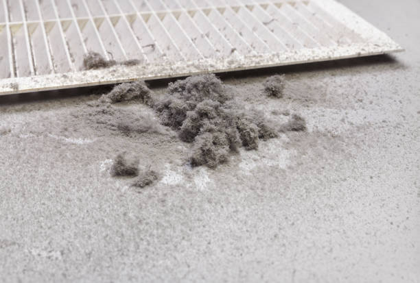 Best HVAC Duct Inspection Services  in Robesonia, PA