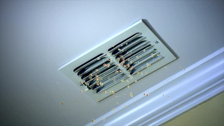 Best Air Duct Cleaning Company Near Me  in Robesonia, PA