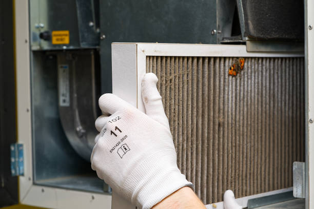 Best Air Duct Cleaning Near Me  in Robesonia, PA