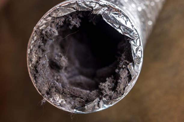 Best Best Air Duct Cleaning Company  in Robesonia, PA