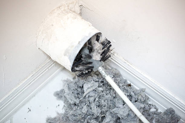 Best Duct Cleaning Specialists  in Robesonia, PA